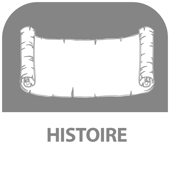 Icône : Histoire